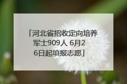 河北省招收定向培养军士909人 6月26日起填报志愿